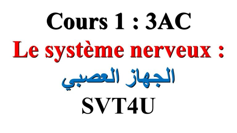 Cours 1 : Le système nerveux : الجهازالعصبي