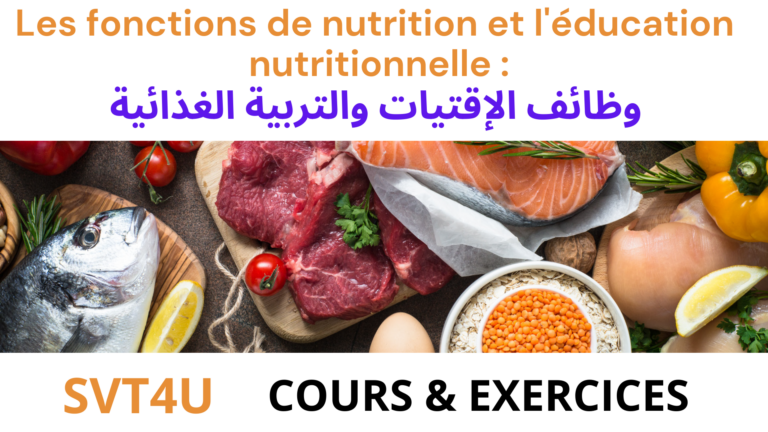 3AC SVT : Les fonctions de nutrition et l&rsquo;éducation nutritionnelle : وظائف الإقتيات والتربية الغذائية