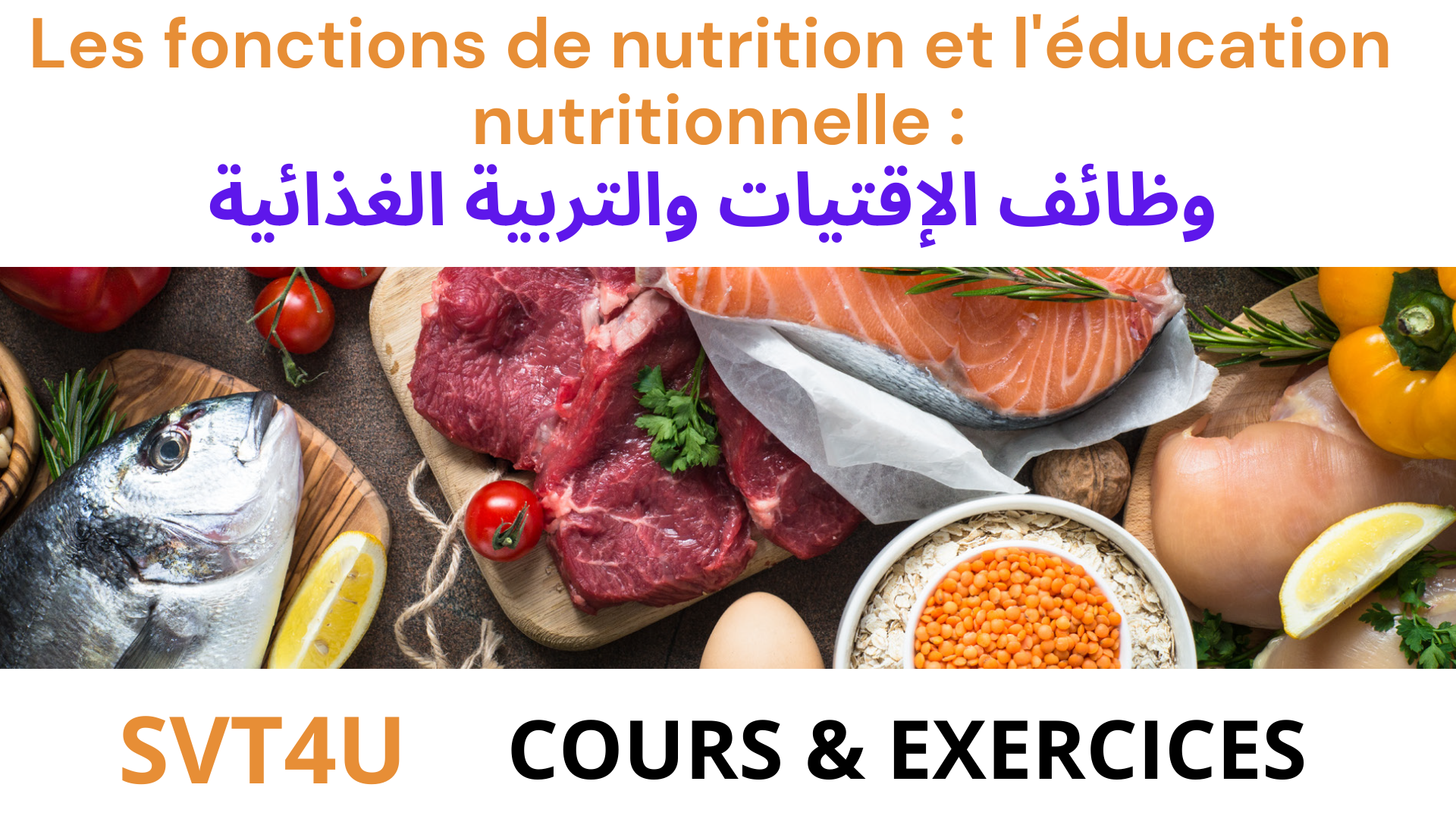 Les fonctions de nutrition et l’éducation nutritionnelle : وظائف الإقتيات والتربية الغذائية