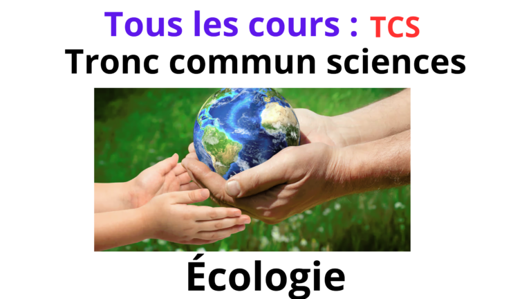 TCS : Tous les cours & exercices : جميع الدروس والتمارين