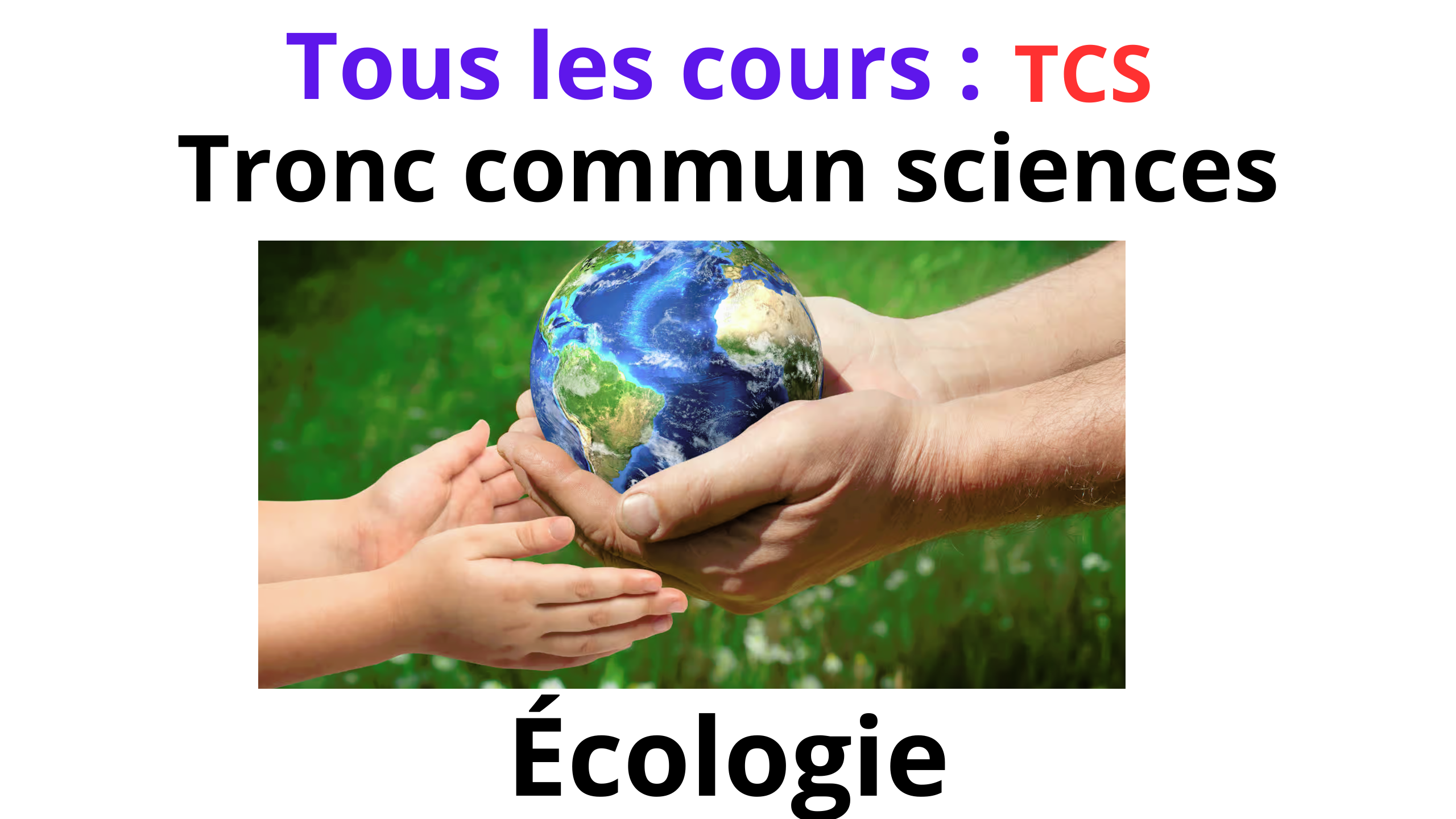 Tous les cours & exercices : جميع الدروس والتمارين